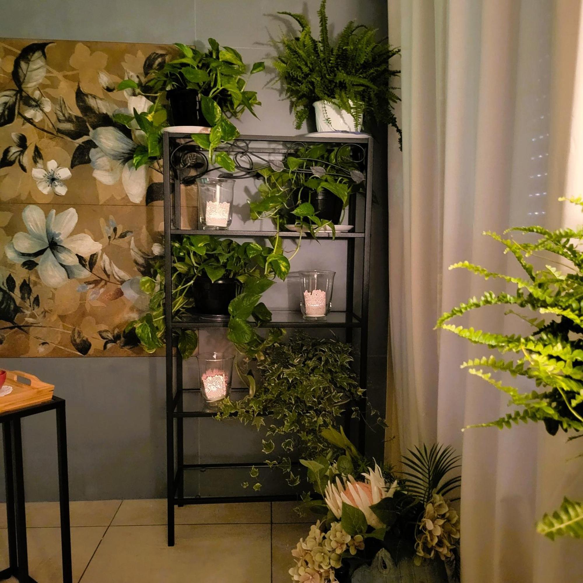 Bed and Breakfast La Dimora Dell'Arte Бари Номер фото